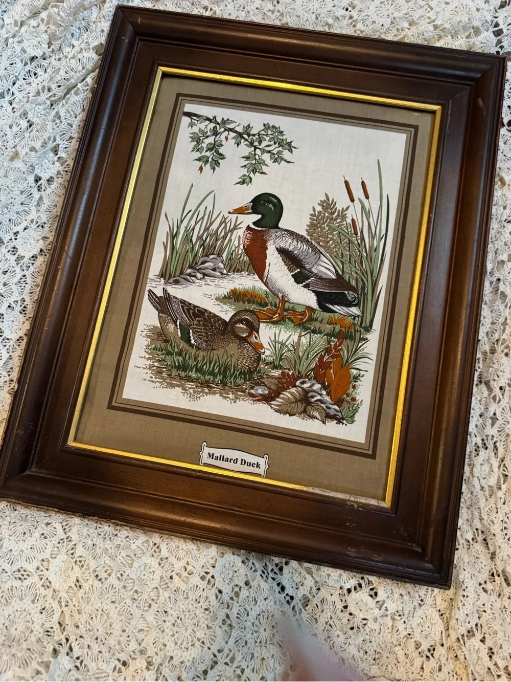 Vintage Brown and Green Mallard Duck Wall Art